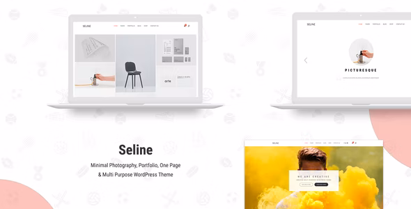 Seline v1.1.4 – 创意摄影和作品集 WordPress 主题插图