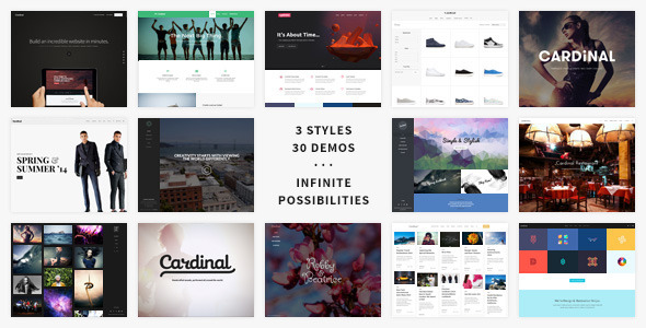 Cardinal v3.8.0 – WordPress 电商主题插图