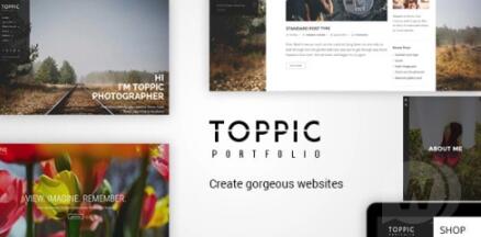 TopPic v4.3.2 – WordPress 摄影师作品集主题插图