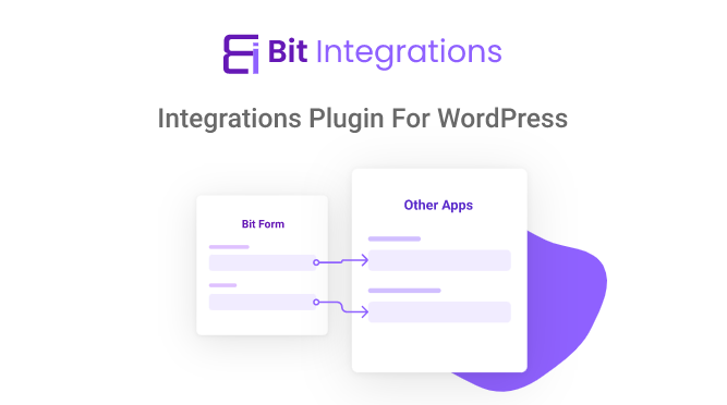 Bit Integrations Pro v2.4.8(已汉化) – WordPress 的集成插件插图