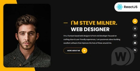 Tunis v1.1.1 – 个人投资组合反应模板