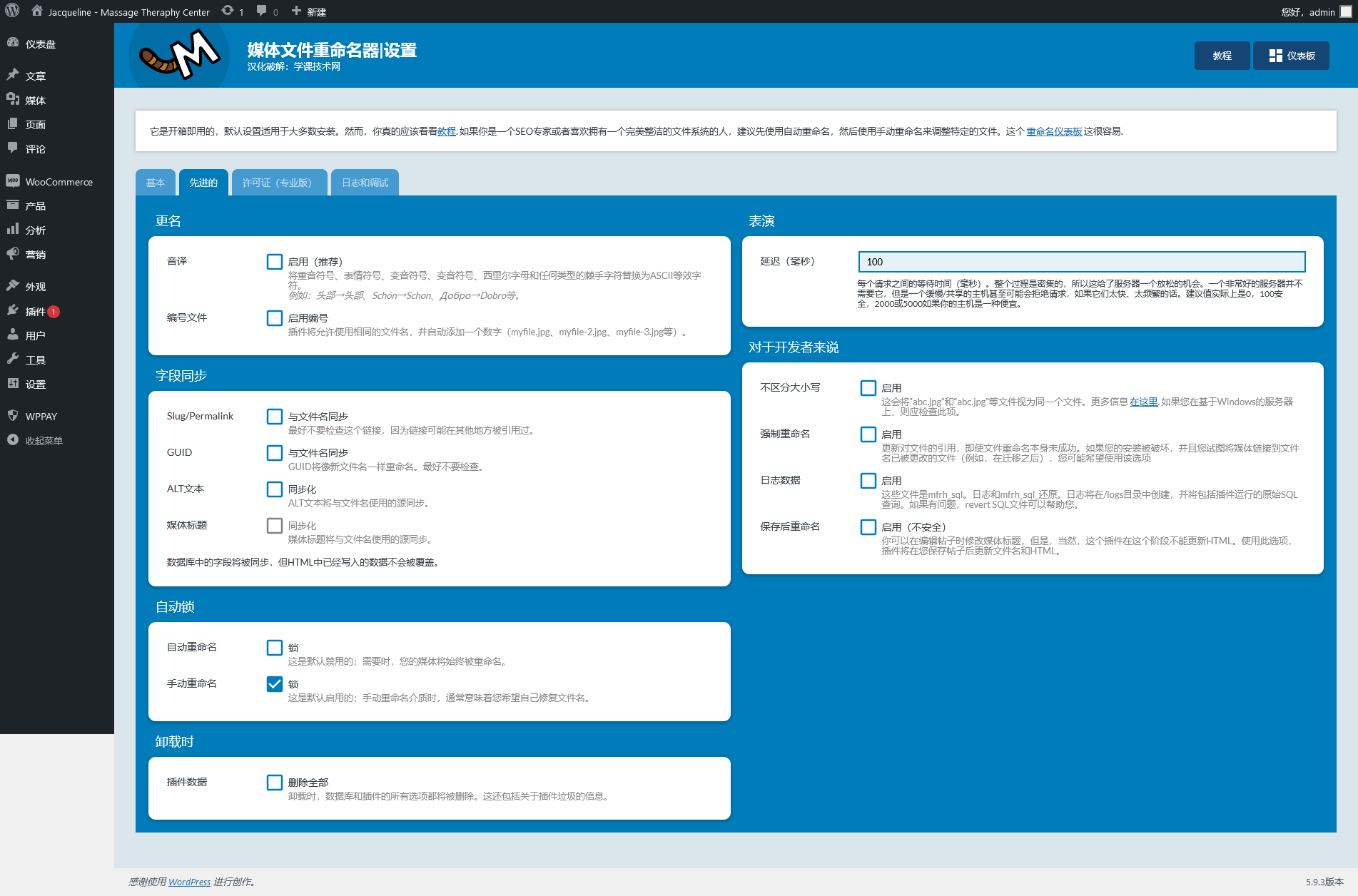 Media File Renamer Pro v6.0.6 破解版（已汉化）插图(2)