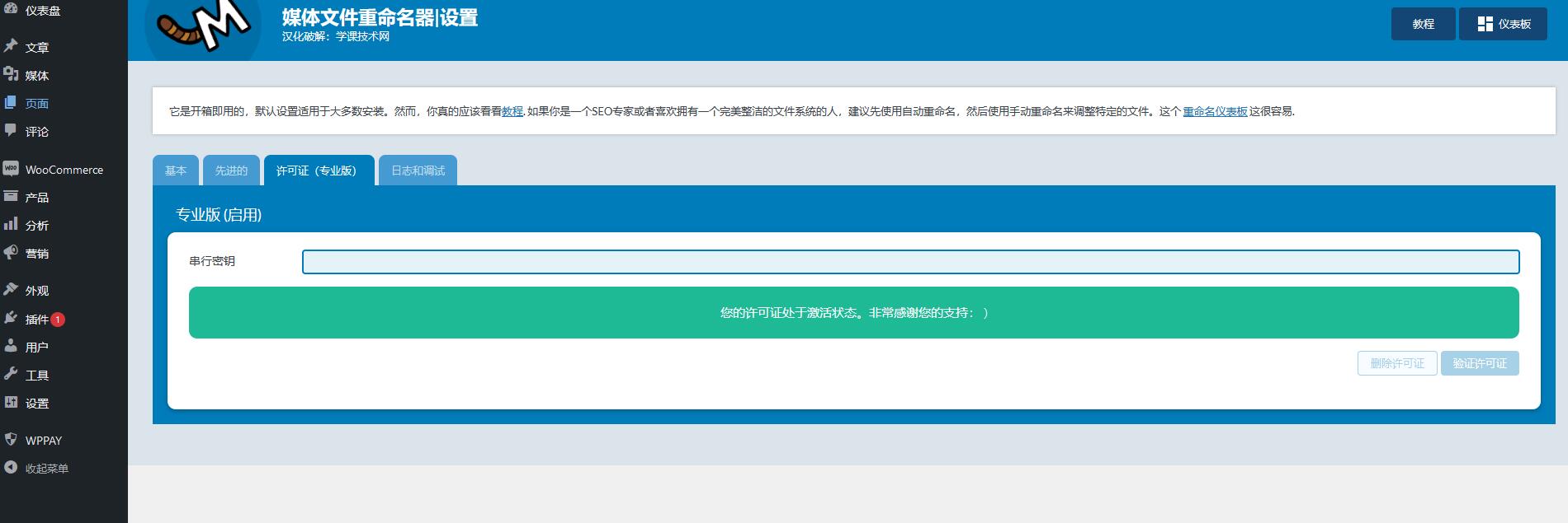 Media File Renamer Pro v6.0.6 破解版（已汉化）插图(3)