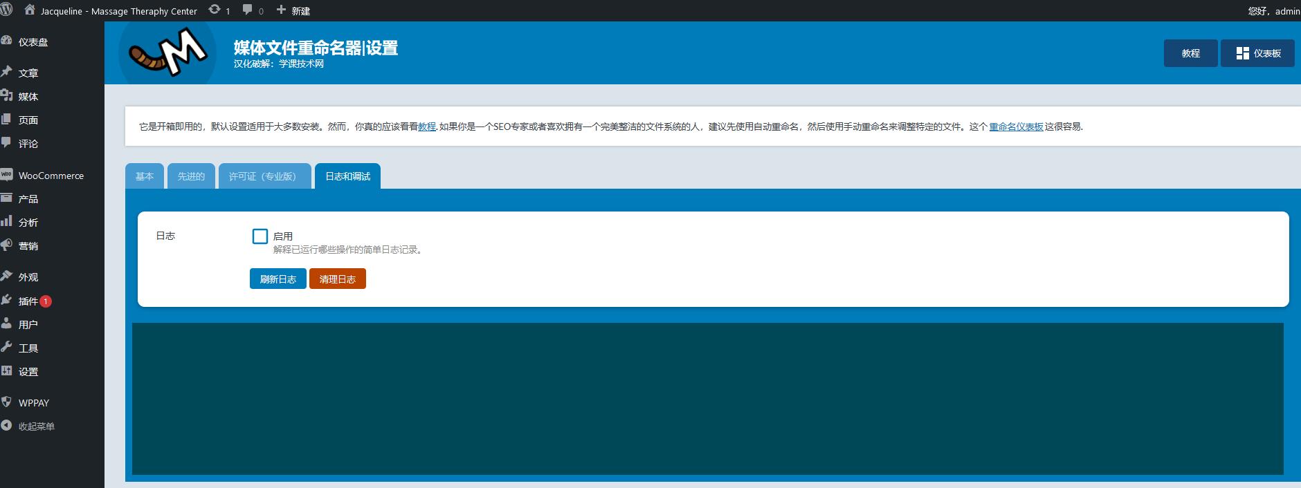 Media File Renamer Pro v6.0.6 破解版（已汉化）插图(4)