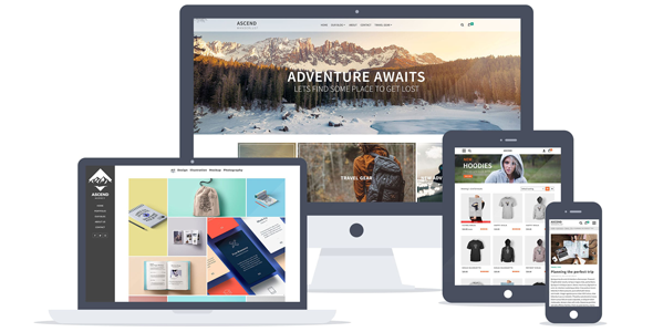 Kadence – Ascend Premium v1.9.21插图