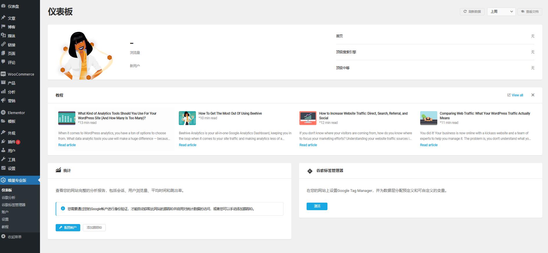 Beehive Pro v3.4.16（已汉化） – WordPress Google Analytics（分析）仪表板插件插图(2)