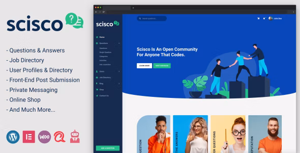 Scsco v1.4 – WordPress 问答主题插件插图