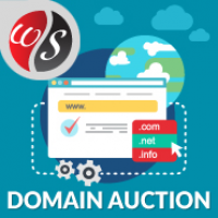 Domains Auction v1.2.0 – WHMCS域名拍卖模板插图