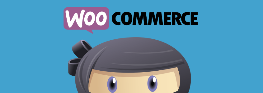 WPAdverts + Pro Extensions v2.2.2 – 使用 WooCommerce 插件  + 附加组件接受付款插图