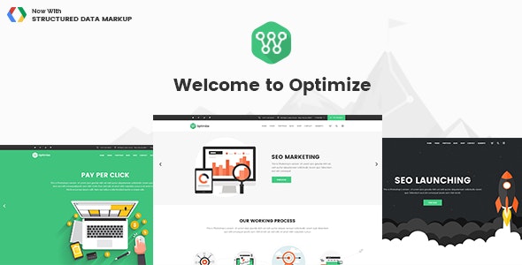 Optimize v2.1 – WordPress SEO和社交媒体主题插图