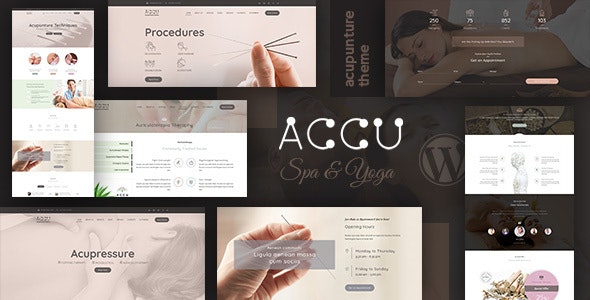 Accu v3.1 – 医疗保健、按摩 WordPress 主题 Accu插图