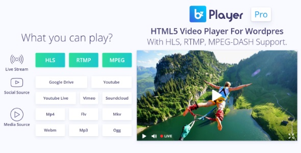 bzplayer Pro v2.1 – WordPress 实时流媒体播放器插件插图