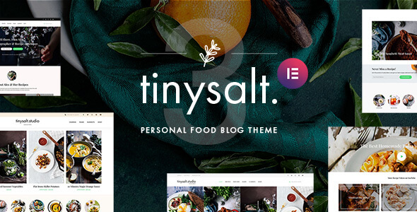 TinySalt v3.0.0 –   WordPress个人美食博客主题插图