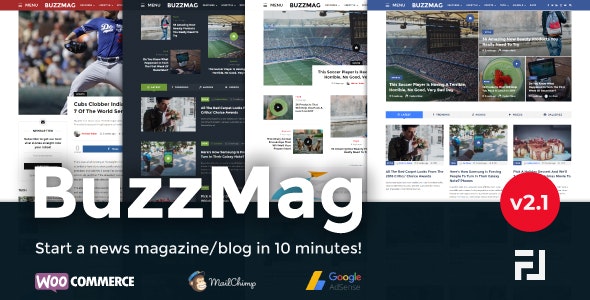 BuzzMag v2.1 – WordPress 杂志/博客主题插图