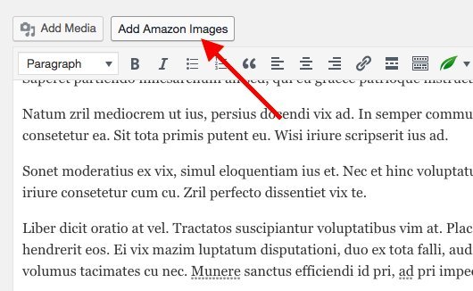 AMZ Image v0.45.1 – 在 WordPress 0.45.1中插入亚马逊产品图片的最快方法插图