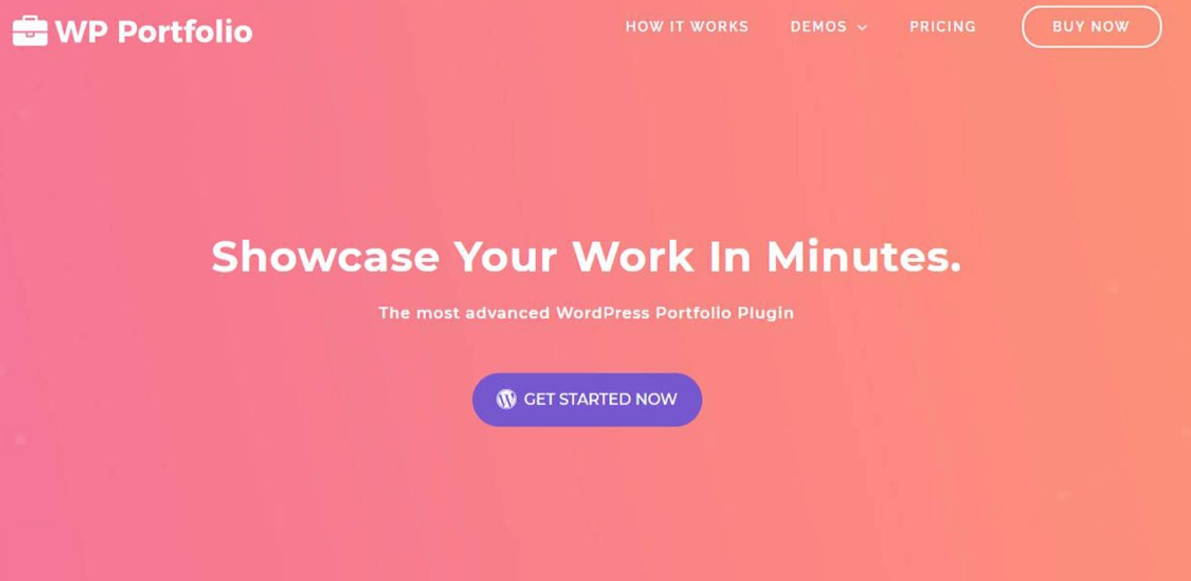 WP Portfolio v1.13.0插图