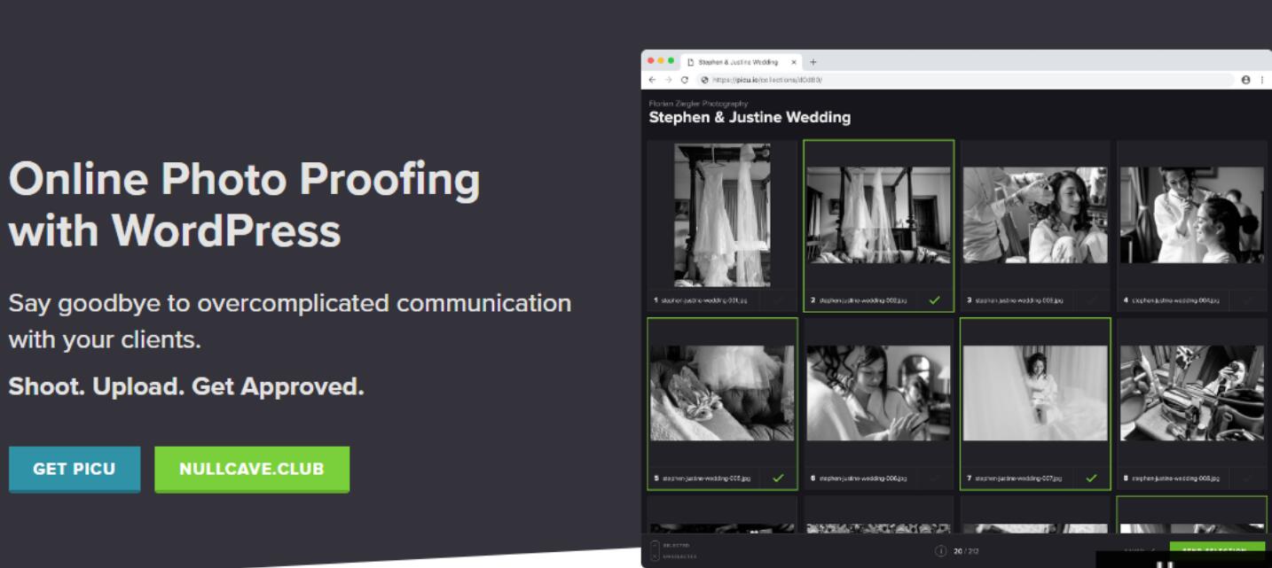 picu Pro v1.0.2 – 使用 WordPress 进行在线照片校对插图