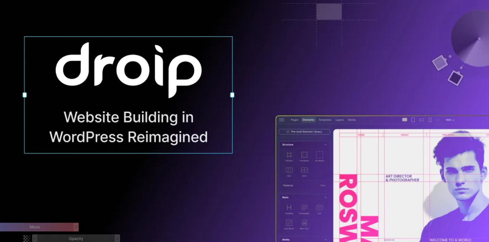 Droip v2.0 – No-Code website builder for WordPress插图