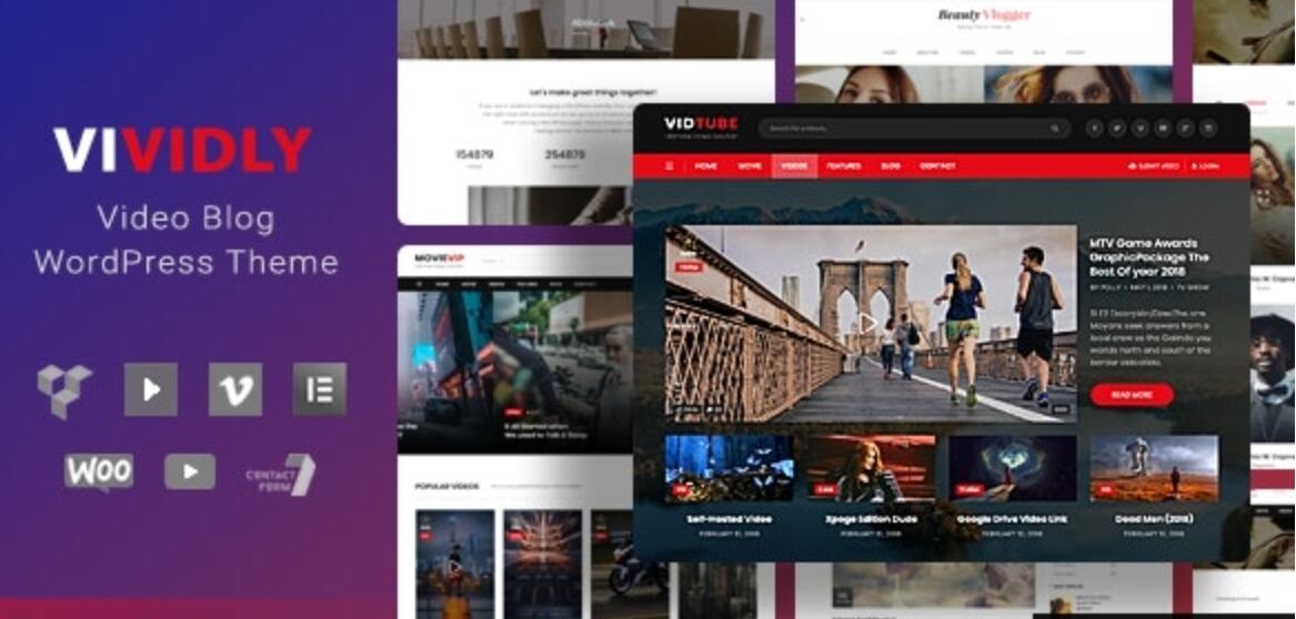 Vividly v1.5.4 – WordPress视频博客主题插图
