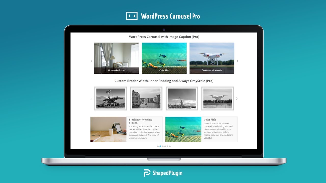 WP Carousel Pro v4.2.0(已汉化) – WordPress旋转木马、滑块和图库插件