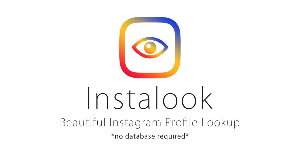 InstaLook v1.0 – Instagram 个人资料查询源码插图